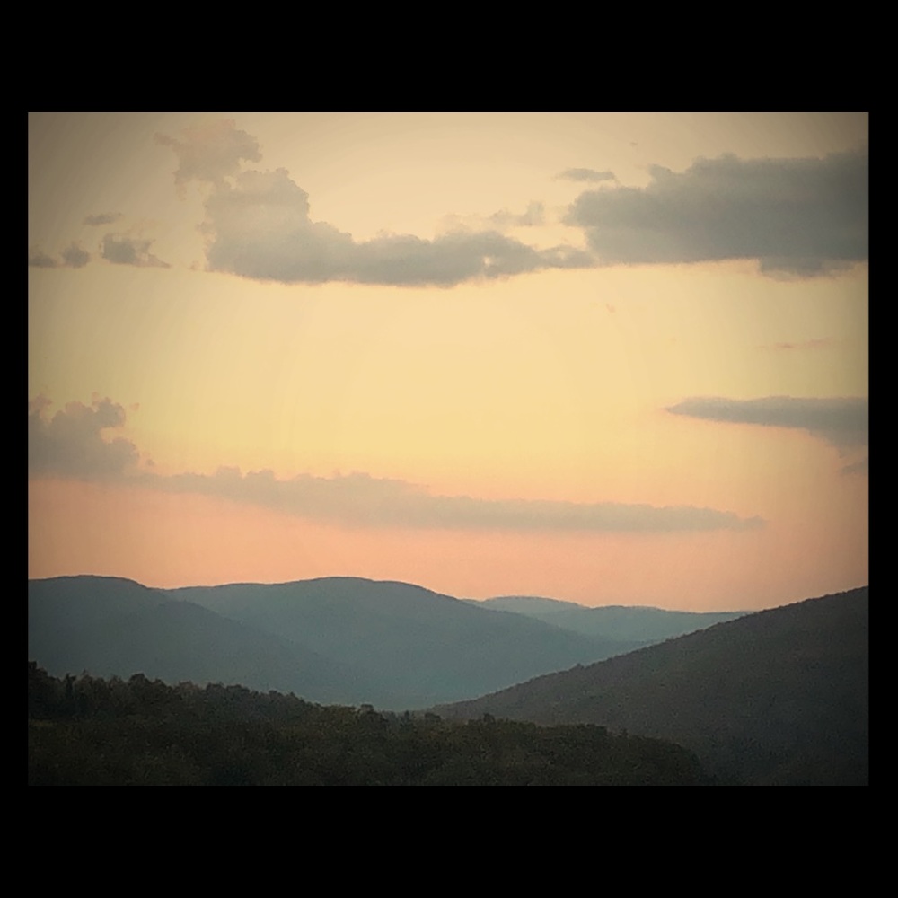 Meet your Posher, CoCo